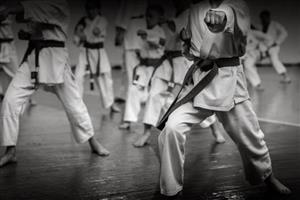 Karate